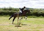 Wanborough Horse and Dog show